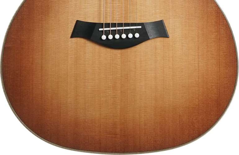 Taylor Grand Auditorium Sitka Spruce / Indian Rosewood (Nearly New) #1203184120 Taylor Grand Auditorium Sitka Spruce / Indian Rosewood (Nearly New) #1203184120