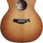 Taylor Grand Auditorium Sitka Spruce / Indian Rosewood (Nearly New) #1203184120