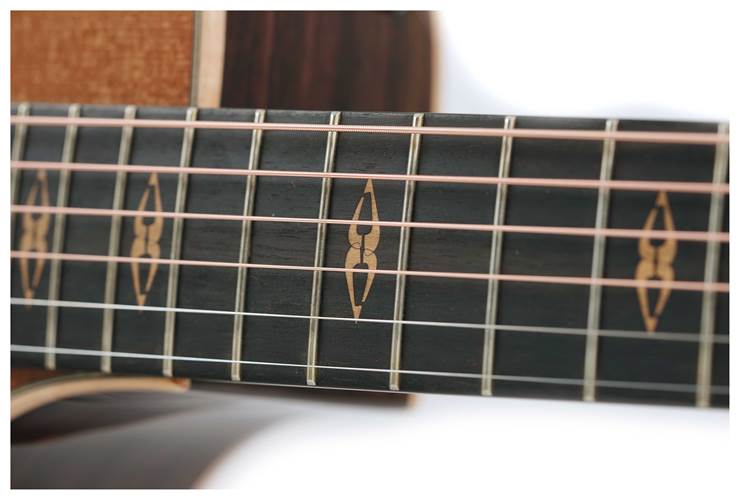 Taylor Grand Auditorium Sitka Spruce / Indian Rosewood (Nearly New) #1203184120 Taylor Grand Auditorium Sitka Spruce / Indian Rosewood (Nearly New) #1203184120