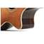 Taylor Grand Auditorium Sitka Spruce / Indian Rosewood (Nearly New) #1203184120 Front View