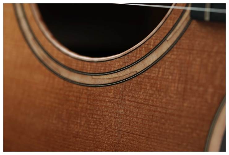 Taylor Grand Auditorium Sitka Spruce / Indian Rosewood (Nearly New) #1203184120 Taylor Grand Auditorium Sitka Spruce / Indian Rosewood (Nearly New) #1203184120