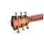 Taylor Grand Auditorium Sitka Spruce / Indian Rosewood (Nearly New) #1203184120 Front View