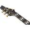 Ibanez FRM350 Paul Gilbert Signature Fireman Black Front View