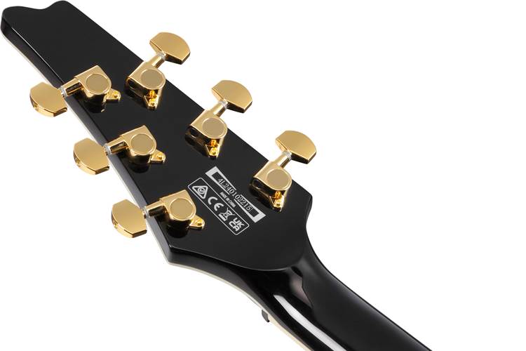 Ibanez FRM350 Paul Gilbert Signature Fireman Black Ibanez FRM350 Paul Gilbert Signature Fireman Black