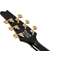 Ibanez FRM350 Paul Gilbert Signature Fireman Black Front View