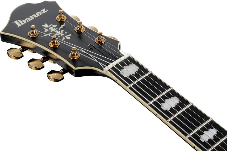 Ibanez PM3C Pat Metheny Signature Black Low Gloss Ibanez PM3C Pat Metheny Signature Black Low Gloss