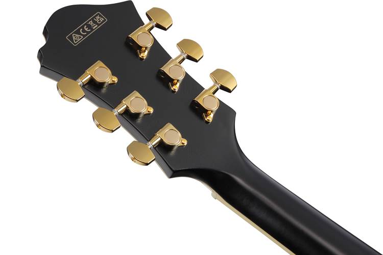Ibanez PM3C Pat Metheny Signature Black Low Gloss Ibanez PM3C Pat Metheny Signature Black Low Gloss