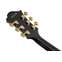 Ibanez PM3C Pat Metheny Signature Black Low Gloss Front View