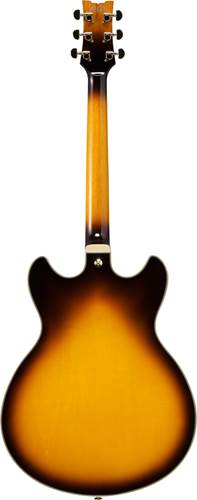 Ibanez JSM10EM John Schofield Signature Two-Tone Burst Ibanez JSM10EM John Schofield Signature Two-Tone Burst