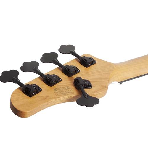 Schecter Model-T 5 Exotic Ziricote Schecter Model-T 5 Exotic Ziricote