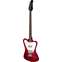 Gibson Non-Reverse Thunderbird Vintage Cherry Front View