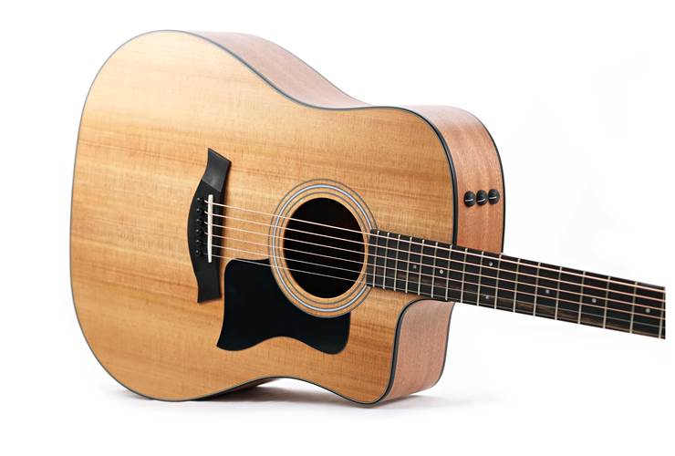 Taylor 110ce-S Sapele C-Class Bracing Taylor 110ce-S Sapele C-Class Bracing