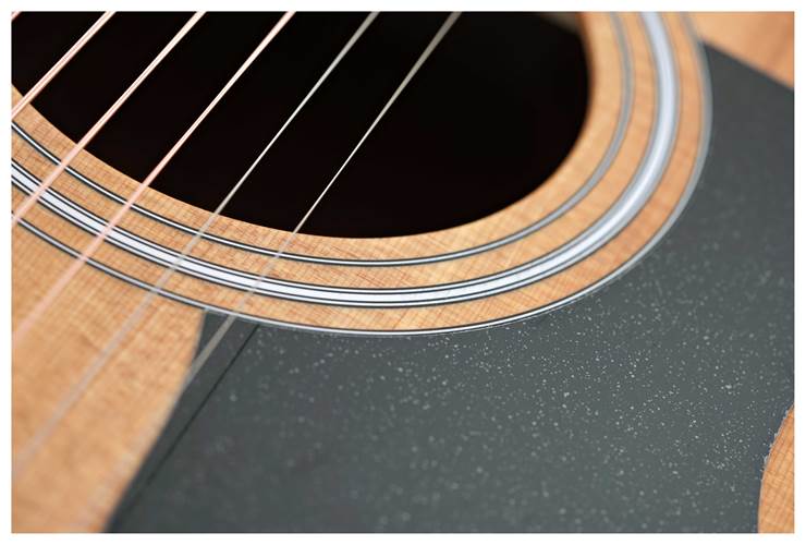 Taylor 110ce-S Sapele C-Class Bracing Taylor 110ce-S Sapele C-Class Bracing