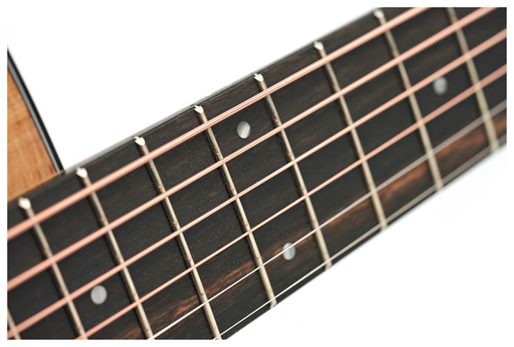 Taylor 110ce-S Sapele C-Class Bracing Taylor 110ce-S Sapele C-Class Bracing