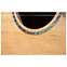 Cole Clark Studio GA Bunya/Silky Oak Front View