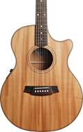 Cole Clark AN 2 EC Series Brazilian Mahogany
