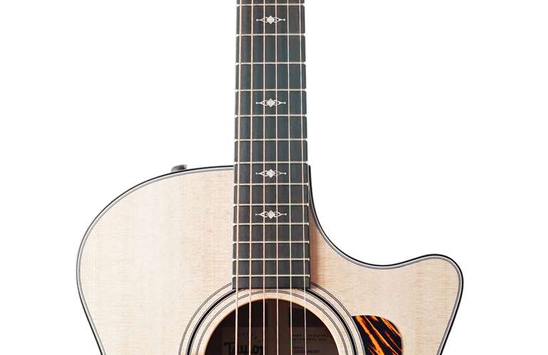 Taylor 314ce Grand Auditorium V Class Bracing #1208294037 Taylor 314ce Grand Auditorium V Class Bracing #1208294037