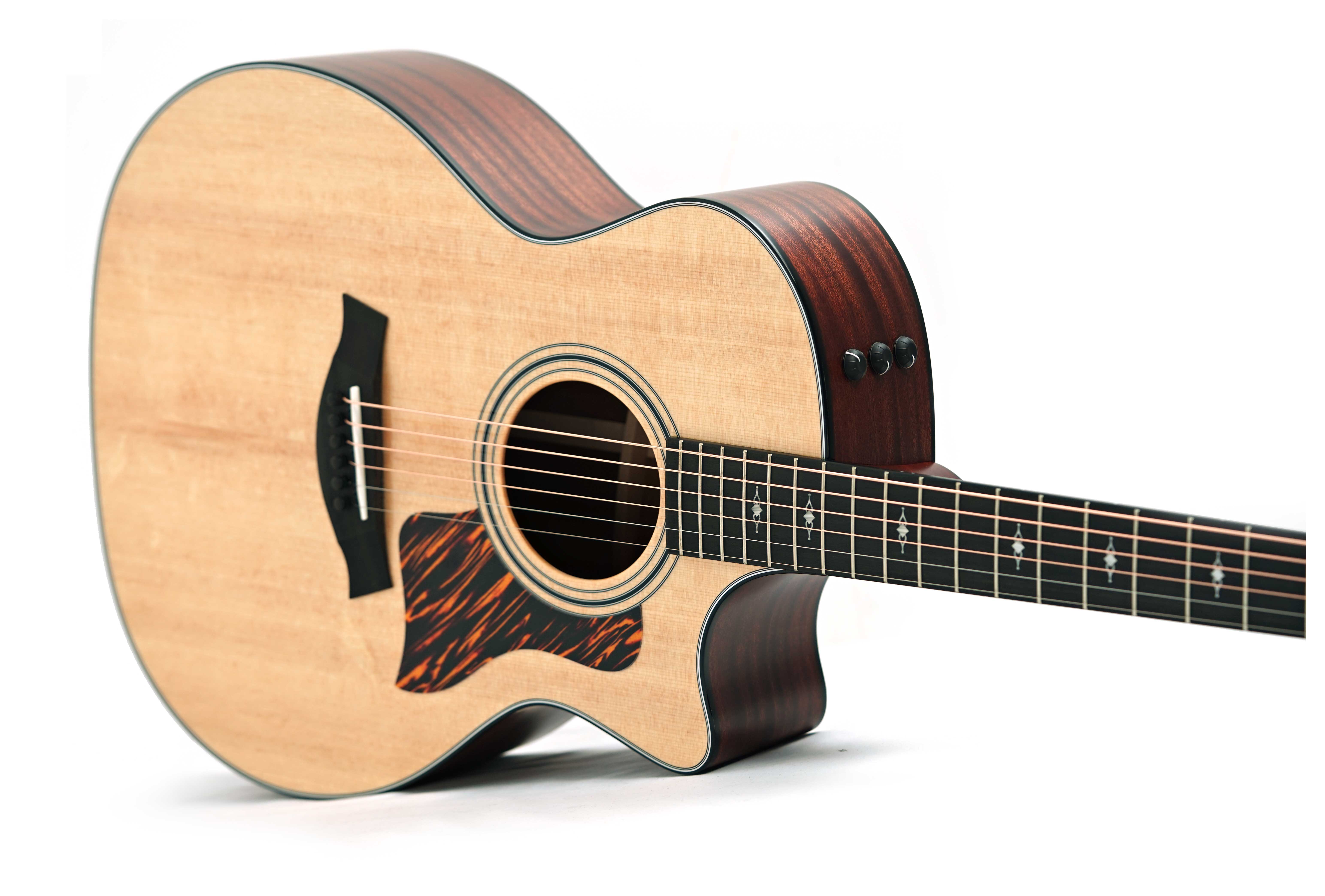 Taylor 314ce Grand Auditorium V Class Bracing #1210164063