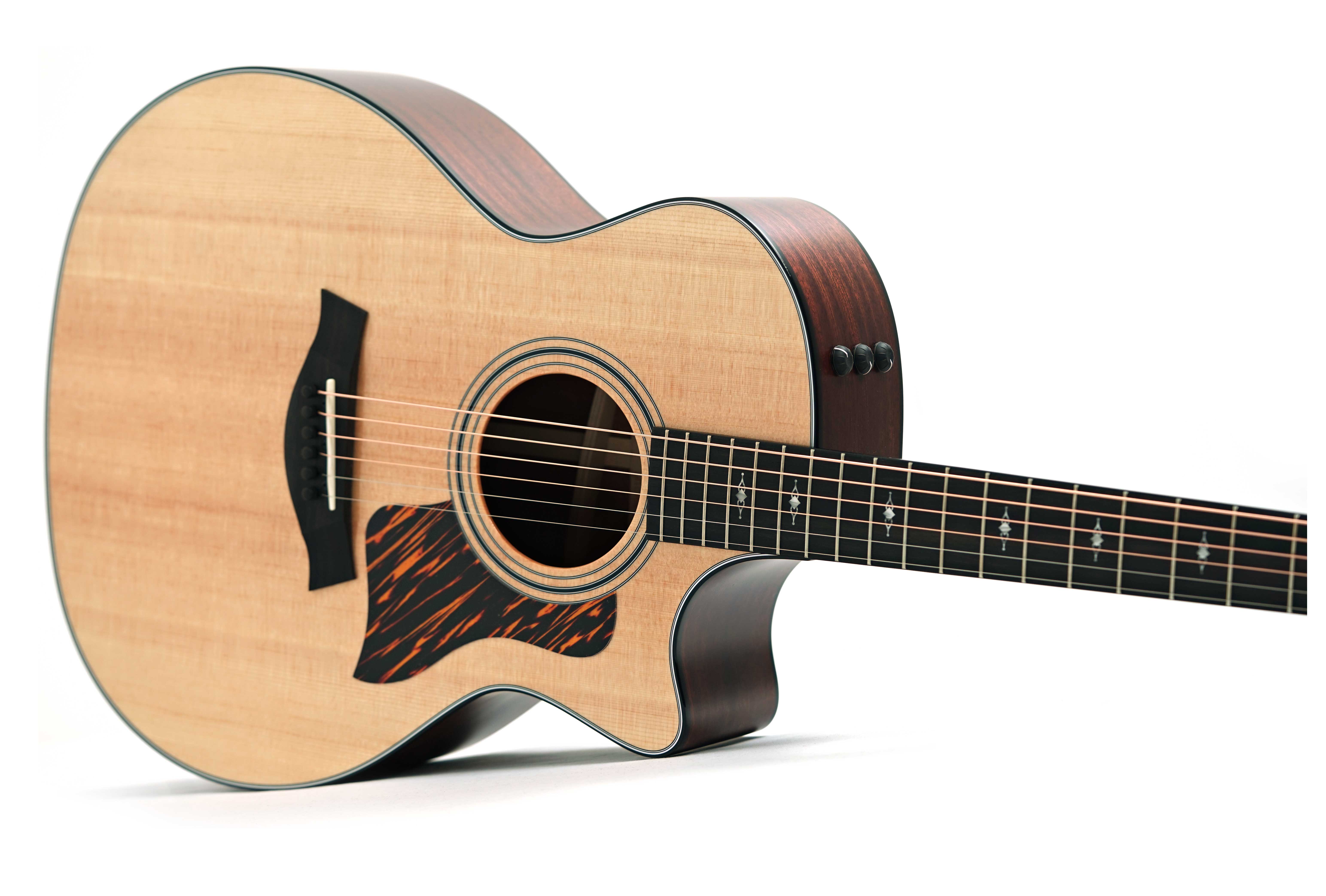 Taylor 314ce Grand Auditorium V Class Bracing #1210164064