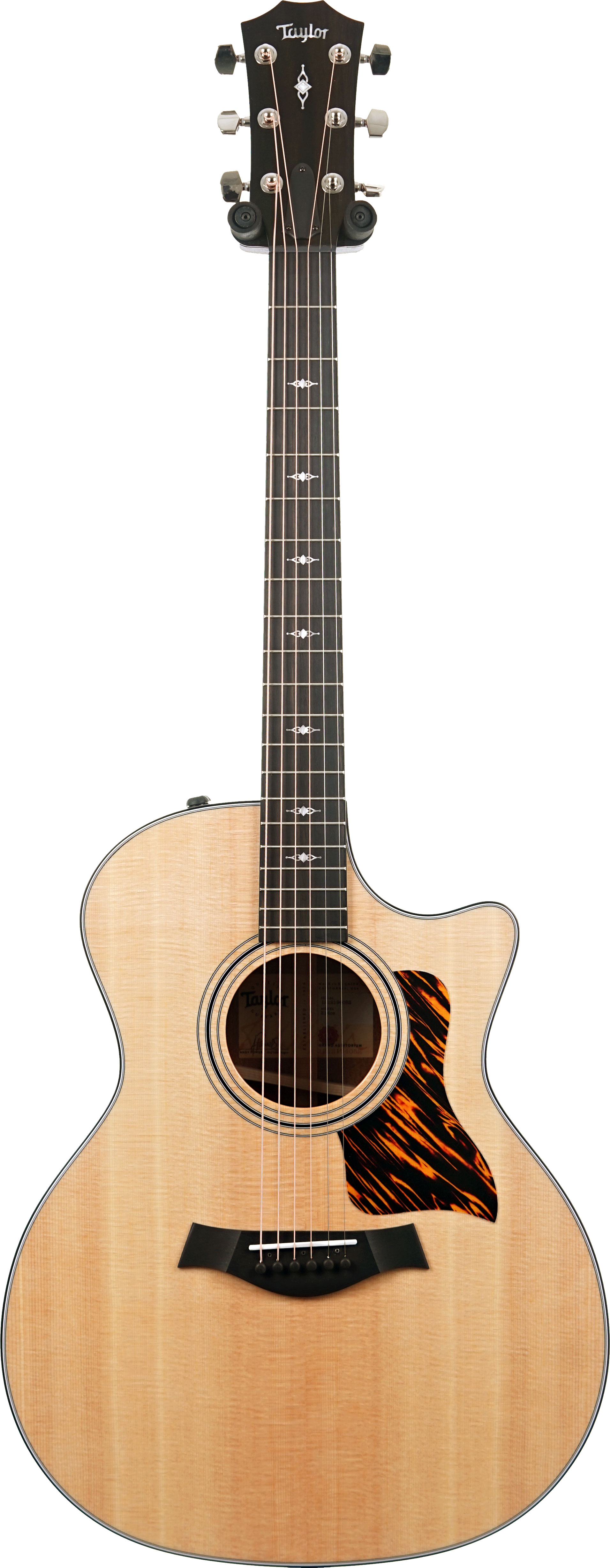 Taylor 314ce Grand Auditorium V Class Bracing #1212194052