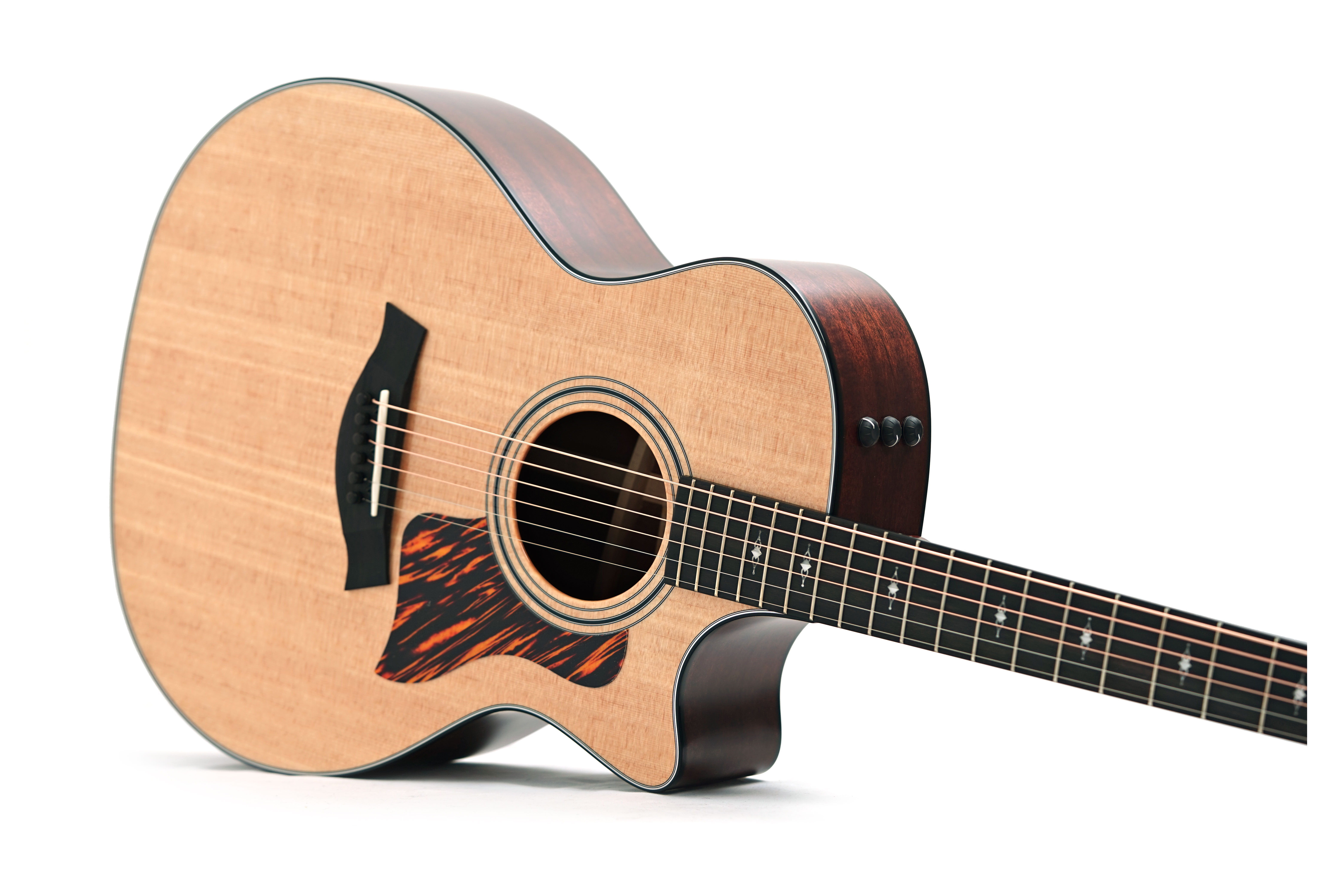 Taylor 314ce Grand Auditorium V Class Bracing #1401245050