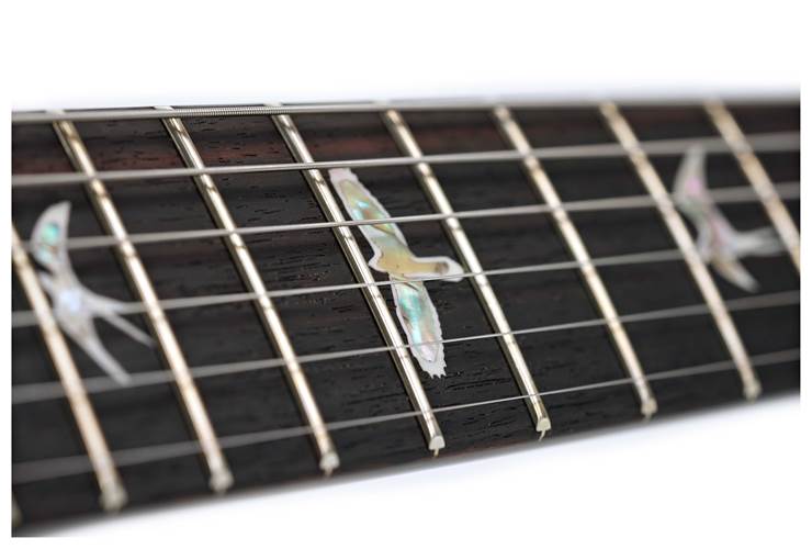 PRS Special Semi Hollow 10 Top Cobalt Blue Smokeburst PRS Special Semi Hollow 10 Top Cobalt Blue Smokeburst