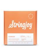 Stringjoy Foxwoods Light Gauge Coated Phosphor Bronze Acoustic Strings 12-54