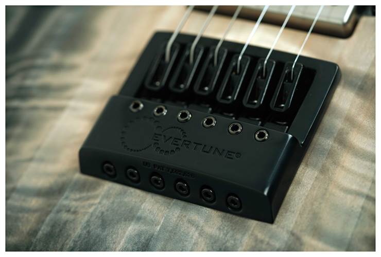 Mayones Duvell Elite 4EVER 6 Natural Fade #DF2505032 Mayones Duvell Elite 4EVER 6 Natural Fade #DF2505032