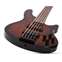 Schecter C-5 Standard Tobacco Burl Front View