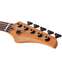 Schecter C-5 Standard Tobacco Burl Front View