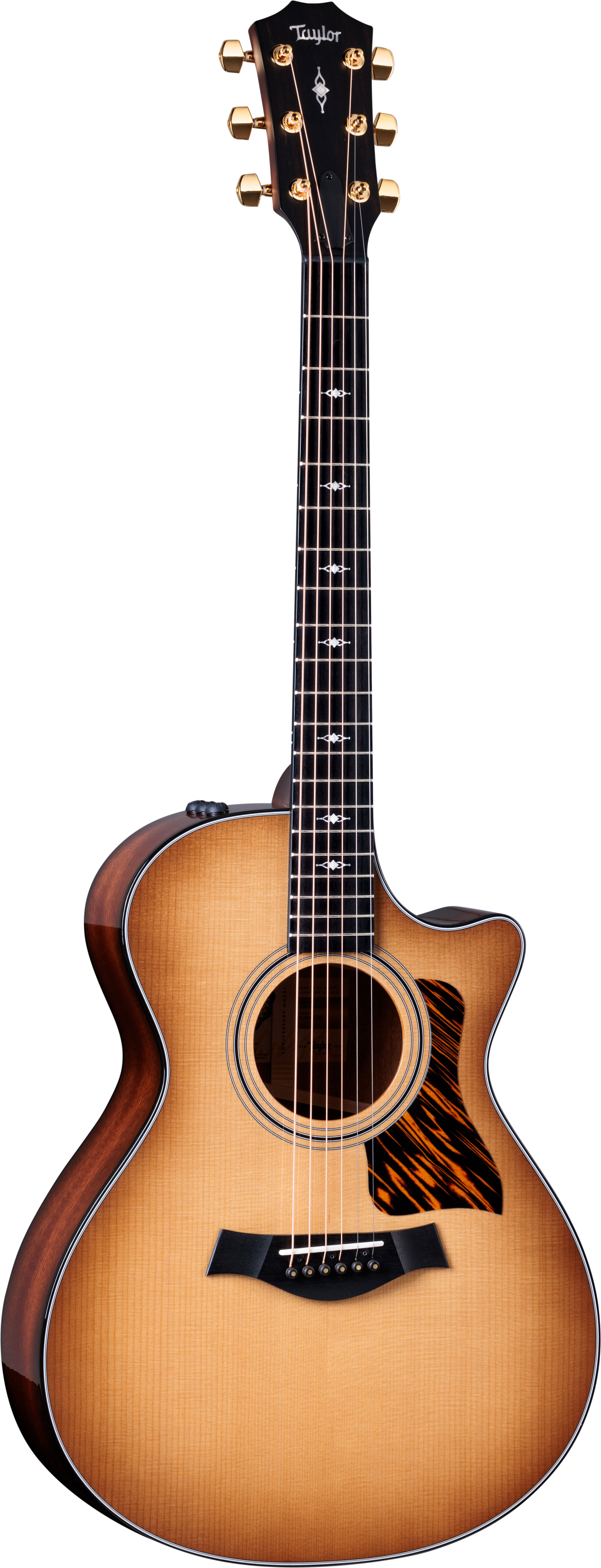 Taylor Limited Edition 50th Anniversary 312ce Grand Concert