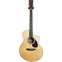 Martin SC28E Fishman Front View