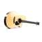 Martin SC28E Fishman Front View