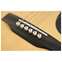 Martin SC28E Fishman Front View