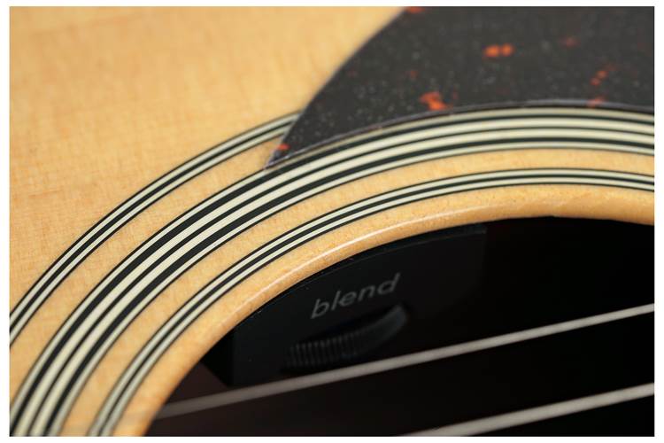 Martin SC28E Fishman Martin SC28E Fishman