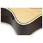 Martin SC28E Fishman Front View