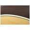 Martin SC28E Fishman Front View