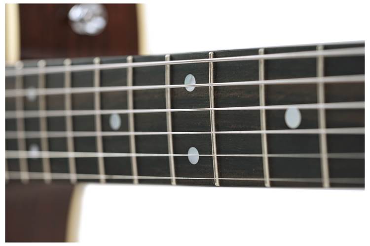 Martin SC28E Fishman Martin SC28E Fishman