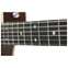 Martin SC28E Fishman Front View