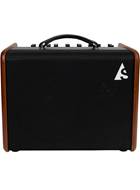 Godin Acoustic Solutions Combo Acoustic Amp Natural