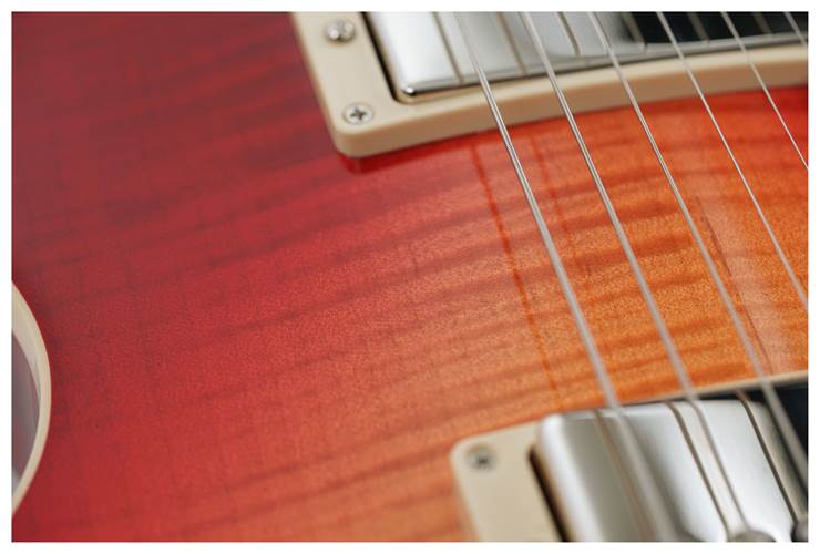Gibson Les Paul Standard 50s AAA Heritage Cherry Sunburst guitarguitar Exclusive #223940116 Gibson Les Paul Standard 50s AAA Heritage Cherry Sunburst guitarguitar Exclusive #223940116