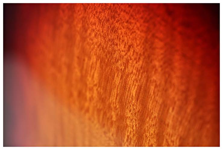 Gibson Les Paul Standard 50s AAA Bourbon Burst guitarguitar Exclusive (Ex-Demo)  #215840167 Gibson Les Paul Standard 50s AAA Bourbon Burst guitarguitar Exclusive (Ex-Demo)  #215840167