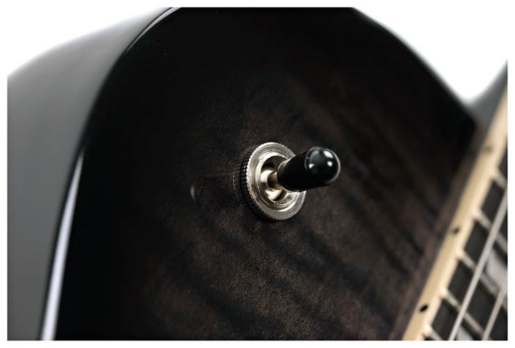 Gibson Les Paul Studio Session Translucent Ebony Burst Gibson Les Paul Studio Session Translucent Ebony Burst