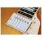 Gibson Les Paul Studio Session Honey Burst  Front View