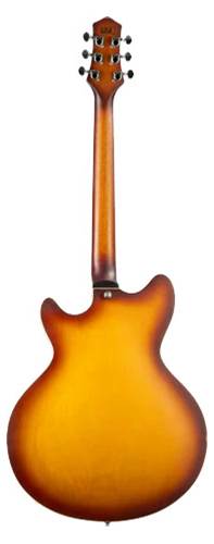 EART E-325 Tobacco Burst EART E-325 Tobacco Burst