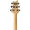 PRS SE CE24 Standard Satin Metallic Gold