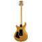 PRS SE CE24 Standard Satin Metallic Gold Back View
