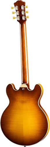 Eastman T484-GB Goldburst Eastman T484-GB Goldburst