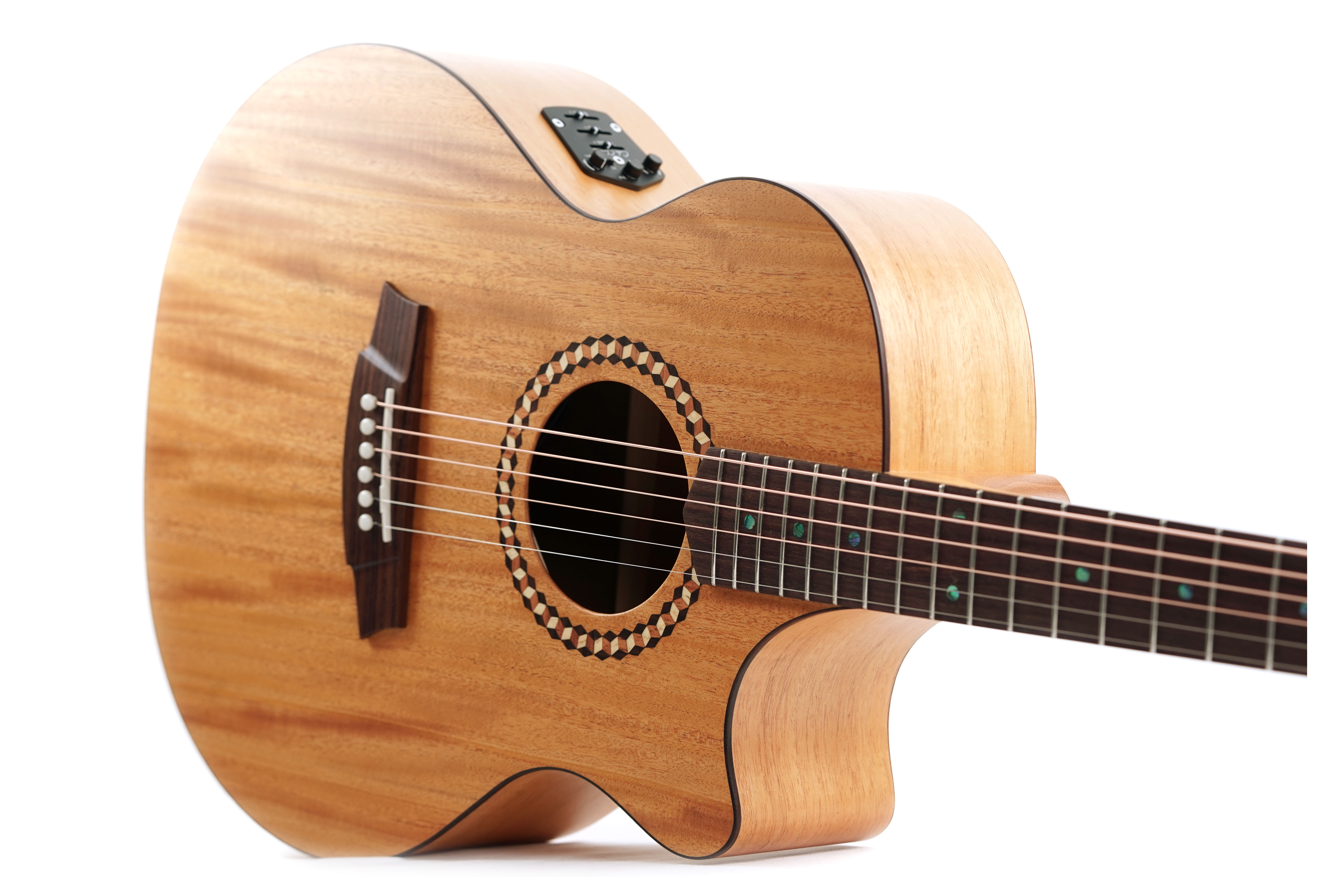 Cole Clark Recording Studio Series AN2 EC All Mahogany #2410-104