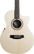 Cole Clark Recording Studio Series AN2 EC Spruce/Rosewood #2410-95